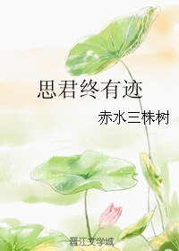 思君终有迹